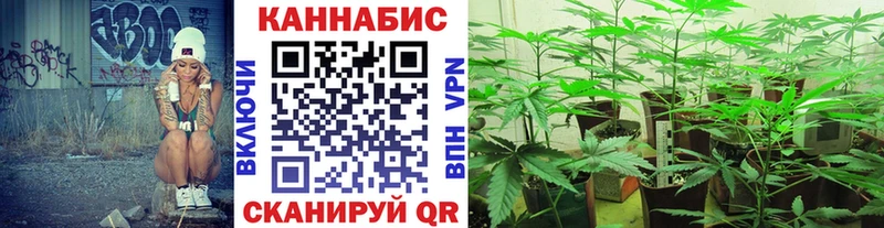 Конопля Bruce Banner  Володарск 